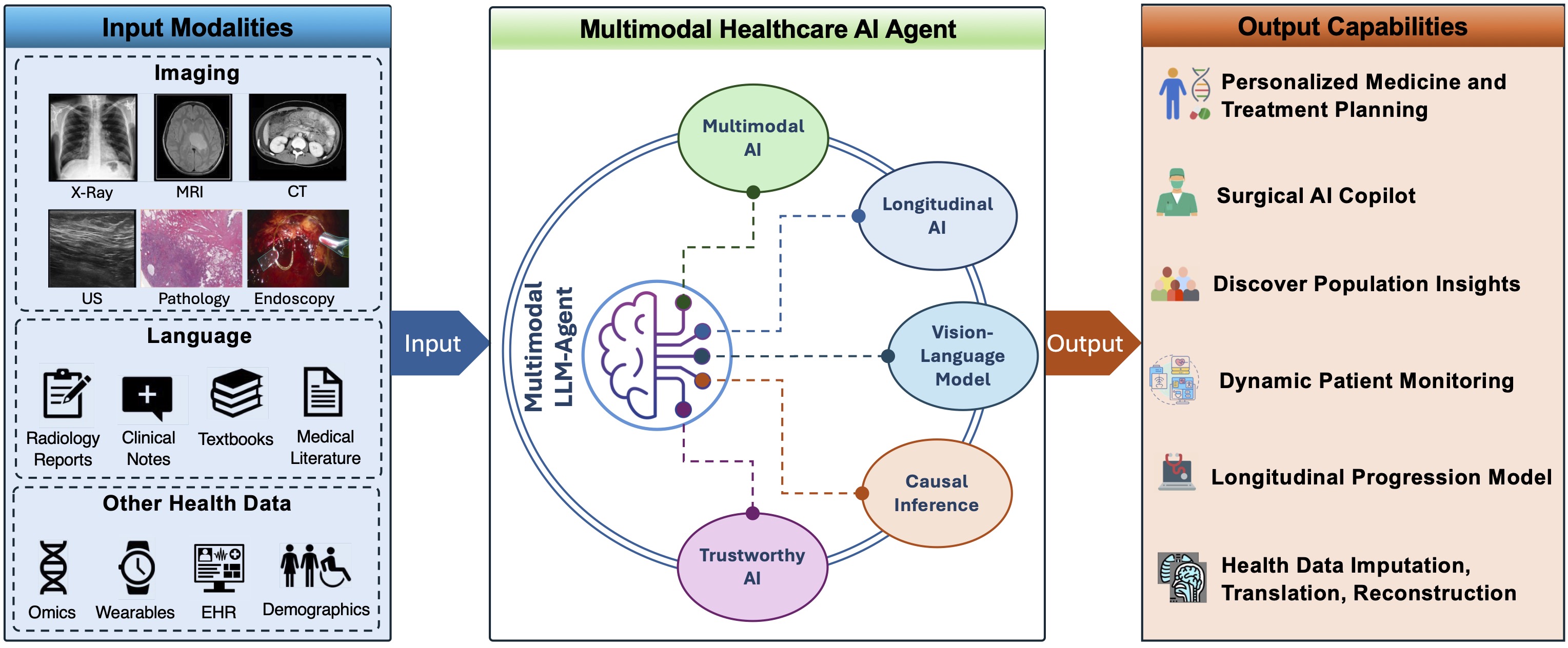 MLLM Agent for Healthcare
